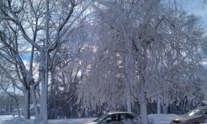 534941_10151425110428469_904640548_n